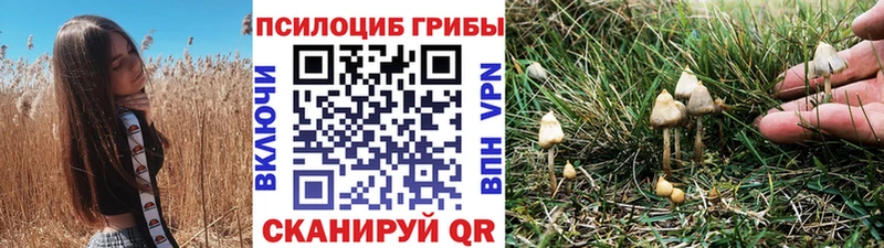 Галлюциногенные грибы мухоморы  Куртамыш 